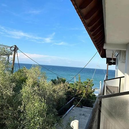 Xristina Appartment Plaka Litochorou Zewnętrze zdjęcie