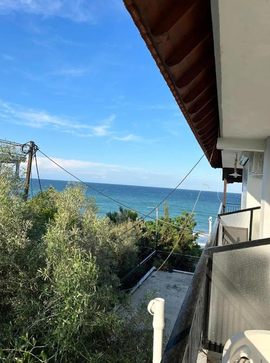 Xristina Appartment Plaka Litochorou Zewnętrze zdjęcie